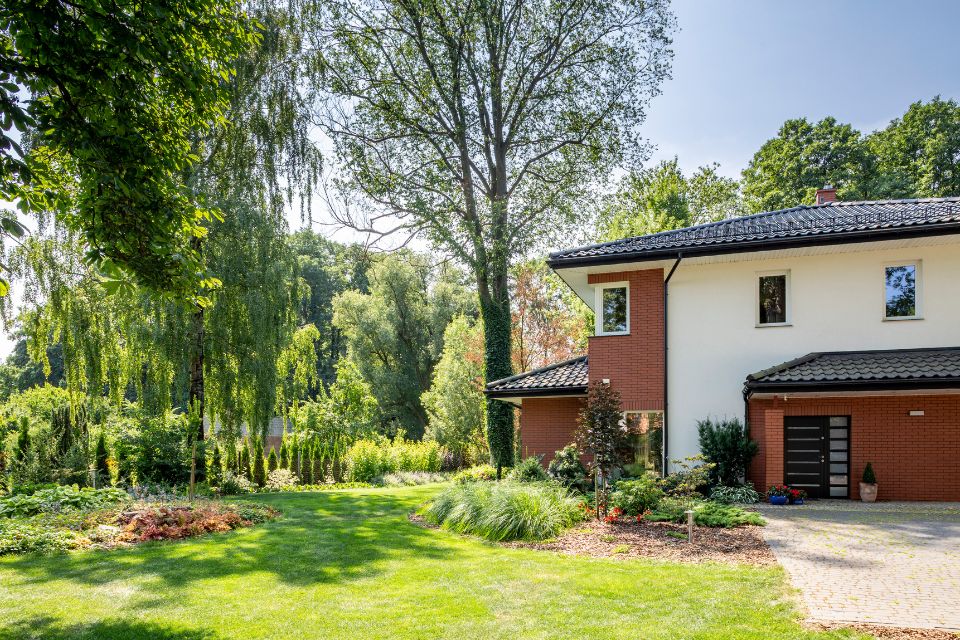 1920 x 1280 – 2025-10-28T215821.757